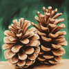 Pine Cone Tree Diamond Painting