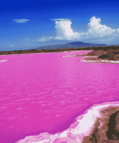 Pink Lake Retba Scenic Diamond Painting