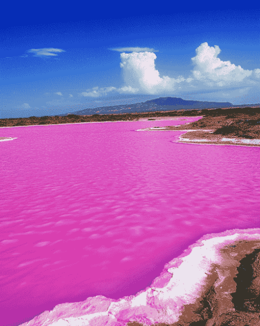 Pink Lake Retba Scenic Diamond Painting