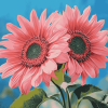 Pink Sunflowers and Blossoms Diamond Painting