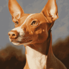 Podenco Puppy Diamond Painting