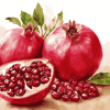 Pomegranate Fruit Diamond Painting