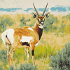 Pronghorn Wildlife Diamond Painting