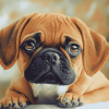 Puggle Puppy Diamond Painting