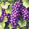 Purple Grapes Diamond Painting