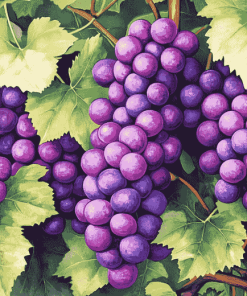 Purple Grapes Diamond Painting