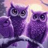 Purple Owl Animation Diamond Painting