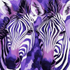 Purple Zebra Diamond Painting