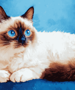 Ragdoll Kitty Diamond Painting