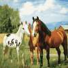 Ranch Horses Diamond Painting