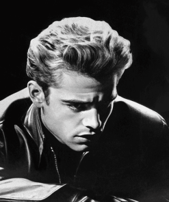 Rebel Without A Cause Monochrome Diamond Painting