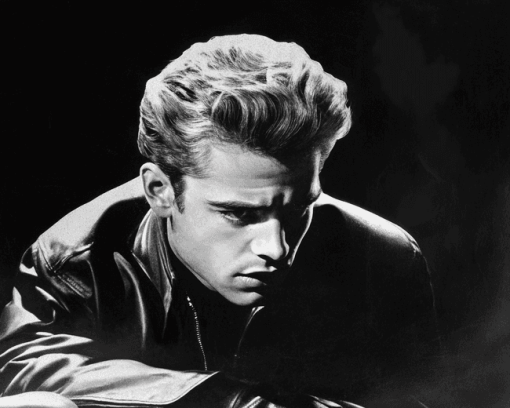 Rebel Without A Cause Monochrome Diamond Painting