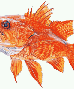 Red Rockfish Koi Carp Diamond Painting