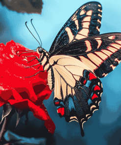 Red Rose with Butterfly Diamond Painting