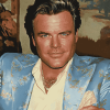 Robert Wagner Celebrity Diamond Painting