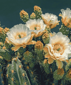 Saguaro Cactus Blossoms Diamond Painting