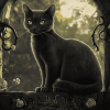 Salem Cat Haven Diamond Painting