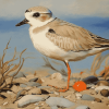 Sand Piping Plover Birds Diamond Painting