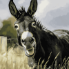 Smiling Black Donkey Diamond Painting