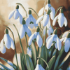 Snowdrops Blossoms Diamond Painting