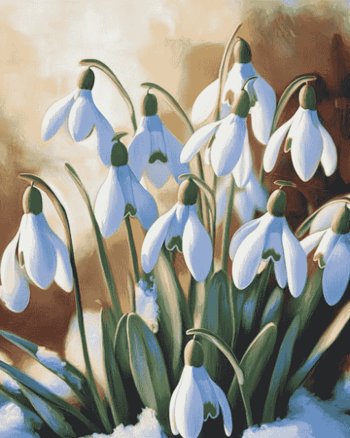 Snowdrops Blossoms Diamond Painting