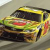 Speedy Kyle Busch Cars Diamond Painting