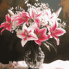 Stargazer Lily Blossoms Diamond Painting