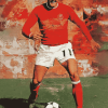 Steve Heighway Famous Footballer Diamond Painting