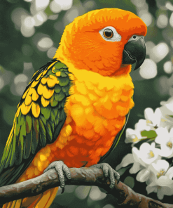 Sun Conure Parrot Diamond Painting