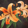 Tiger Lilies Blooms Diamond Painting