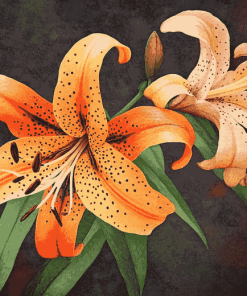 Tiger Lilies Blooms Diamond Painting