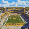 Tiger Stadium Highlights Diamond Painting