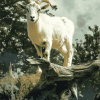 Tree Climbing Goat Diamond Painting