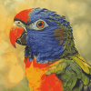 Tropical Lory Parrots Diamond Painting