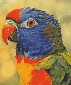 Tropical Lory Parrots Diamond Painting