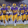 University Northern Iowa Panthers Football Diamond Painting