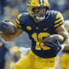 University of Michigan Football Diamond Painting