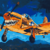 Vintage Curtiss P 40 Warhawk Diamond Painting