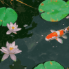 Water Lilies and Koi Fish Diamond Painting