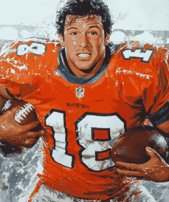 Waterboy American Football Diamond Painting