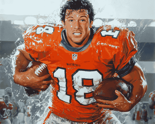 Waterboy American Football Diamond Painting