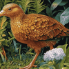 Weka Bird Diamond Painting