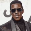 Wesley Snipes Celebrity Diamond Painting