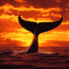 Whale Tail Silhouette Diamond Painting