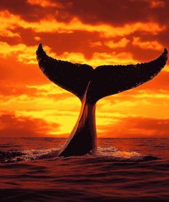 Whale Tail Silhouette Diamond Painting