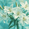 White Lily Blossoms Diamond Painting