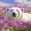 White Polar Bear Flowers Diamond Painting