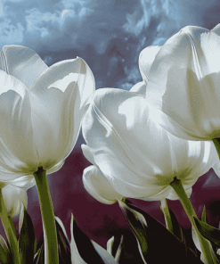 White Tulips Blossom Diamond Painting