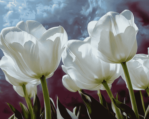 White Tulips Blossom Diamond Painting