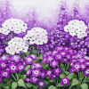 White and Purple Alyssum Blossoms Diamond Painting